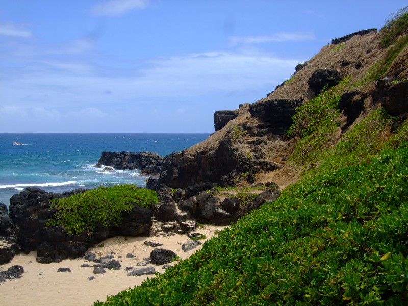 Mauritius 2010 - 0301 